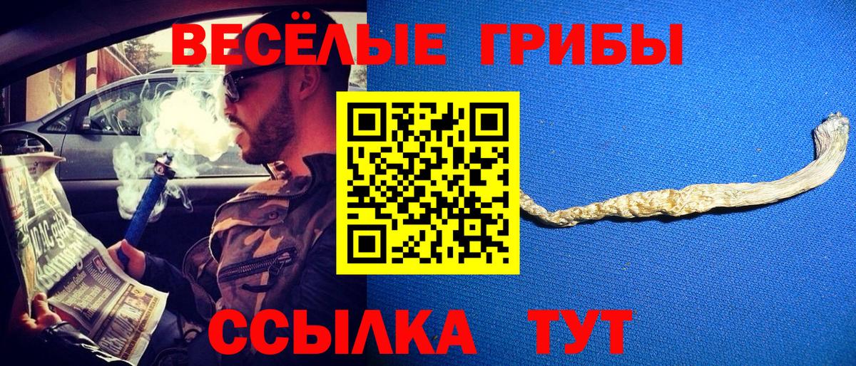 Галлюциногенные грибы Psilocybine cubensis Зеленокумск